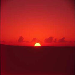 Beneath the Ember Sky