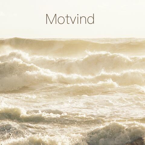 Motvind