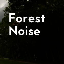 White Noise Forest