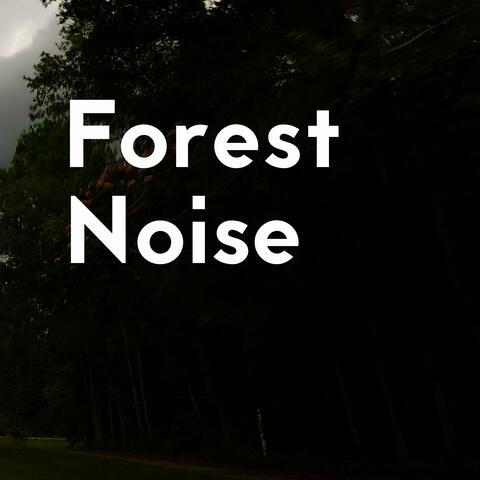 Forest Noise