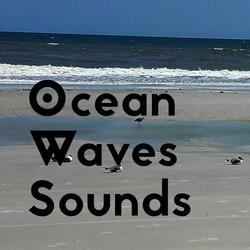 Ocean Waves Crashing
