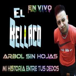 Arbol sin hojas / Mi historia entre tus dedos