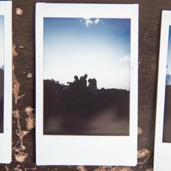 Polaroid