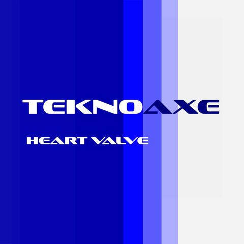 Heart Valve