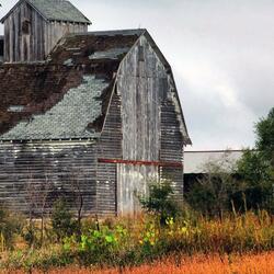 Quiet Farm
