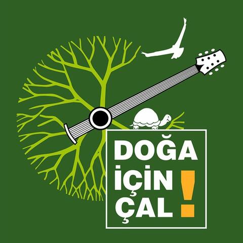 Divane Aşık Gibi