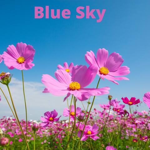 Blue Sky