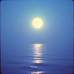 Lo que no supiste cuidar