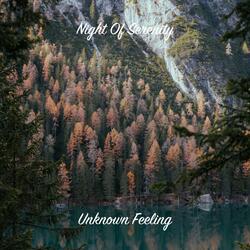 Unknown Feeling