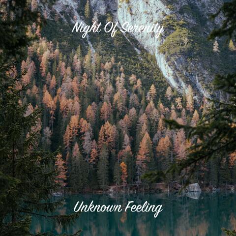 Unknown Feeling