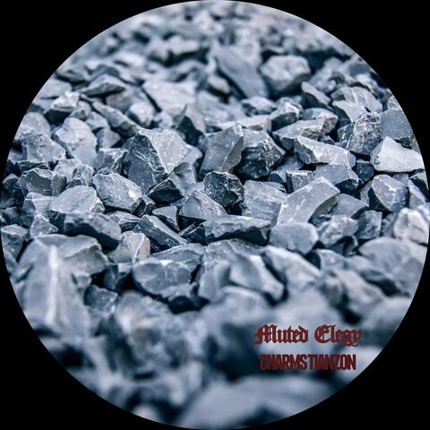Muted Elegy