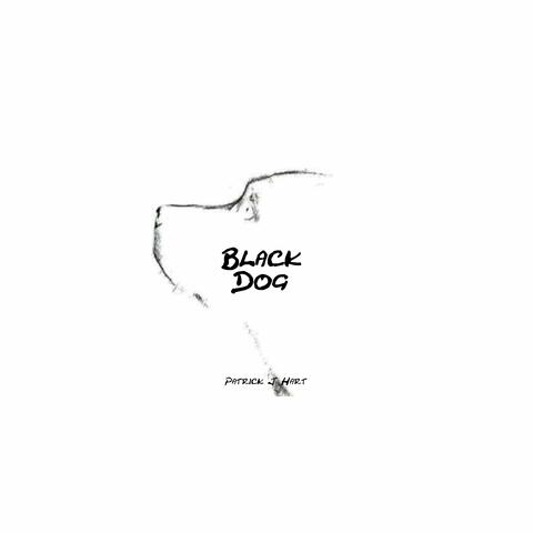 Black Dog