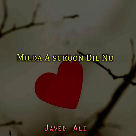 Milda A sukoon Dil Nu