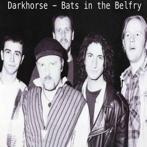 Bats In The Belfry