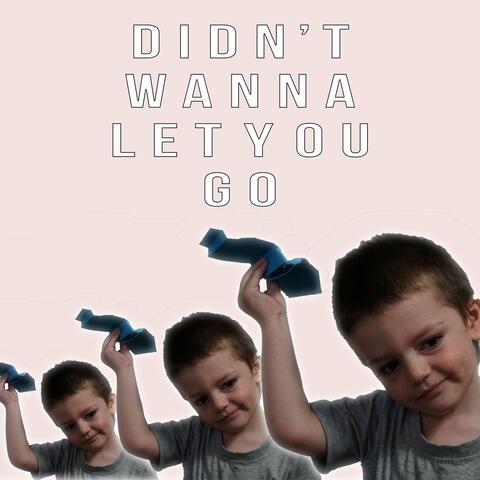Didn't Wanna Let You Go