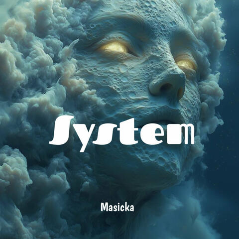 System