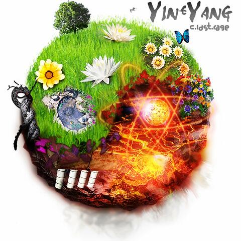 Yin & Yang