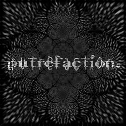 Putrefaction