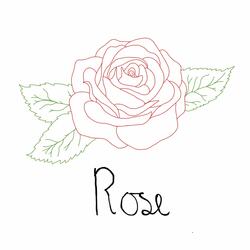 Rose