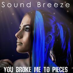 You Broke Me to Pieces