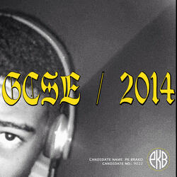 GCSE / 2014