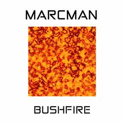 Bushfire