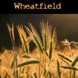 Spikelets