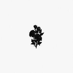Not Another Love Song