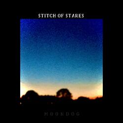 Stitch of Stares