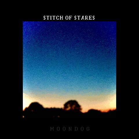 Stitch of Stares