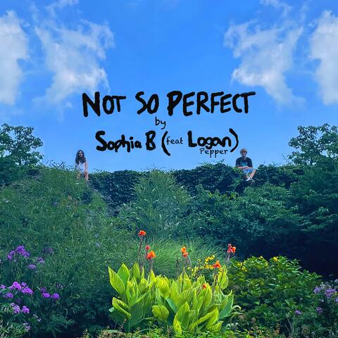 Not so Perfect