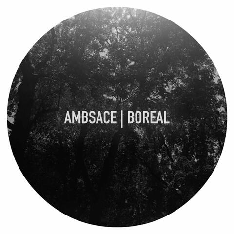 Boreal