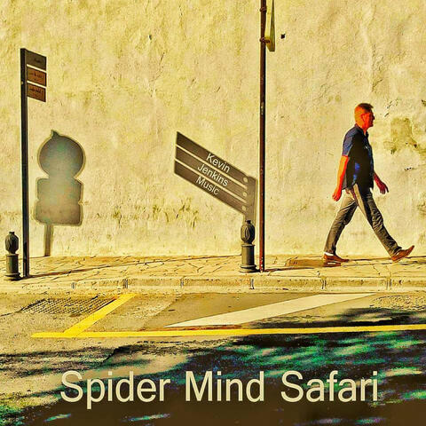 Spider Mind Safari