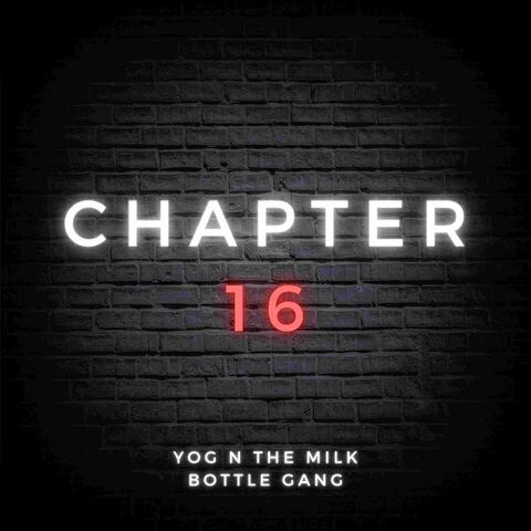 Chapter 16