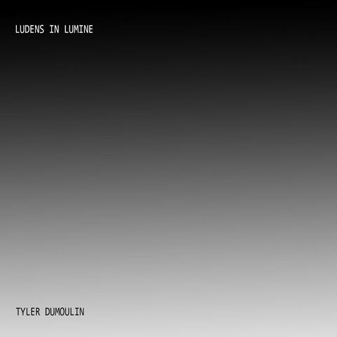 Ludins in Lumine