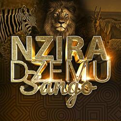 Nzira Dzemusango
