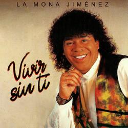 Vivir Sin Ti