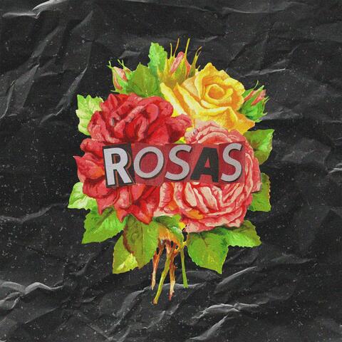 Rosas