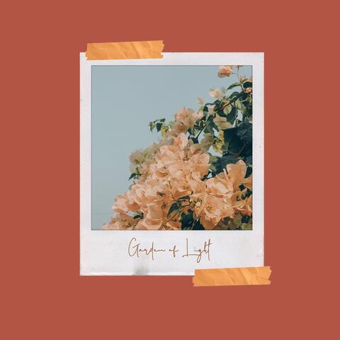 Garden of Light
