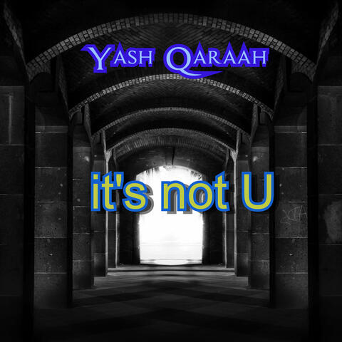 It's Not U