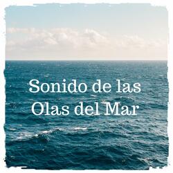 Sonido de las Olas del Mar, Pt. 02