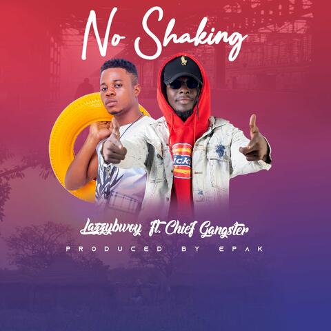 No Shaking