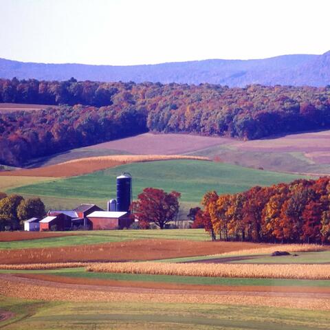 Peaceful Pennsylvania