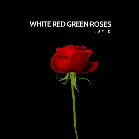 White Red Green Roses