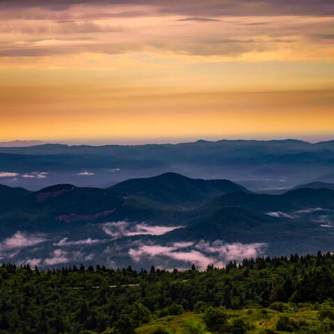 North Carolina Sunshine