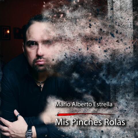 Mis Pinches Rolas