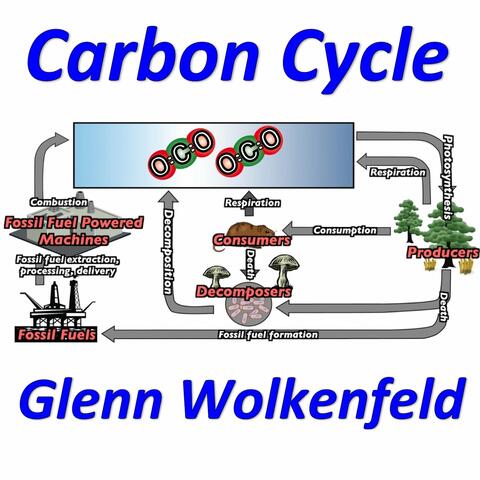 Carbon Cycle