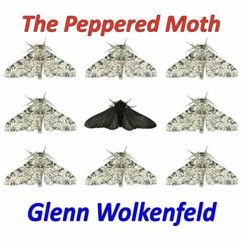The Peppered Moth