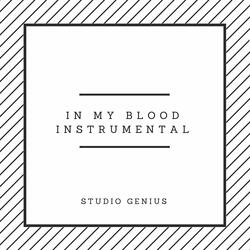 In My Blood Instrumental (Originally by Shawn Mendes)