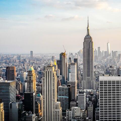 New York Money